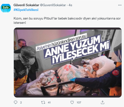 Foto - Daha kaç çocuğun ölmesi gerekiyor bu sorunun çözülmesi için! Köpek tehlikesi kaosa sürüklüyor!