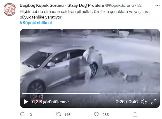 Foto - Daha kaç çocuğun ölmesi gerekiyor bu sorunun çözülmesi için! Köpek tehlikesi kaosa sürüklüyor!
