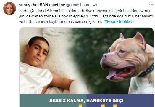 Foto - Daha kaç çocuğun ölmesi gerekiyor bu sorunun çözülmesi için! Köpek tehlikesi kaosa sürüklüyor!