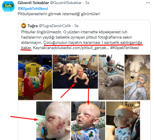 Foto - Daha kaç çocuğun ölmesi gerekiyor bu sorunun çözülmesi için! Köpek tehlikesi kaosa sürüklüyor!