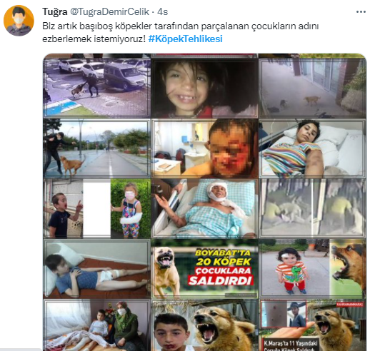 Foto - Daha kaç çocuğun ölmesi gerekiyor bu sorunun çözülmesi için! Köpek tehlikesi kaosa sürüklüyor!