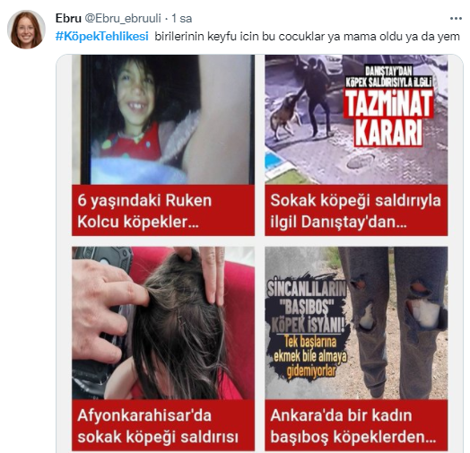 Foto - Daha kaç çocuğun ölmesi gerekiyor bu sorunun çözülmesi için! Köpek tehlikesi kaosa sürüklüyor!