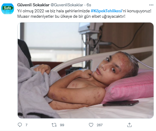 Foto - Daha kaç çocuğun ölmesi gerekiyor bu sorunun çözülmesi için! Köpek tehlikesi kaosa sürüklüyor!