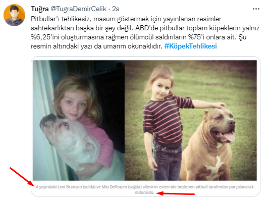 Foto - Daha kaç çocuğun ölmesi gerekiyor bu sorunun çözülmesi için! Köpek tehlikesi kaosa sürüklüyor!