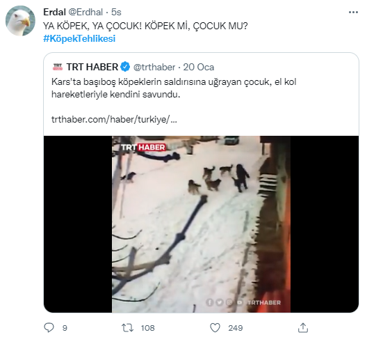 Foto - Daha kaç çocuğun ölmesi gerekiyor bu sorunun çözülmesi için! Köpek tehlikesi kaosa sürüklüyor!