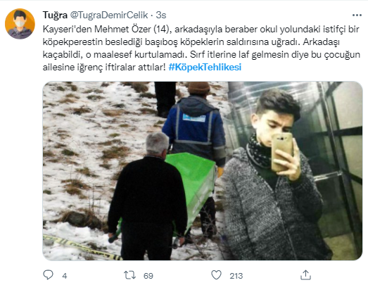 Foto - Daha kaç çocuğun ölmesi gerekiyor bu sorunun çözülmesi için! Köpek tehlikesi kaosa sürüklüyor!
