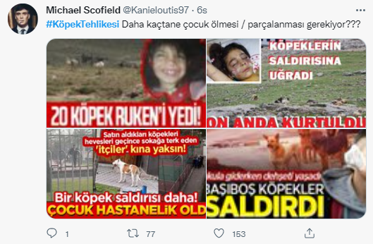 Foto - Daha kaç çocuğun ölmesi gerekiyor bu sorunun çözülmesi için! Köpek tehlikesi kaosa sürüklüyor!