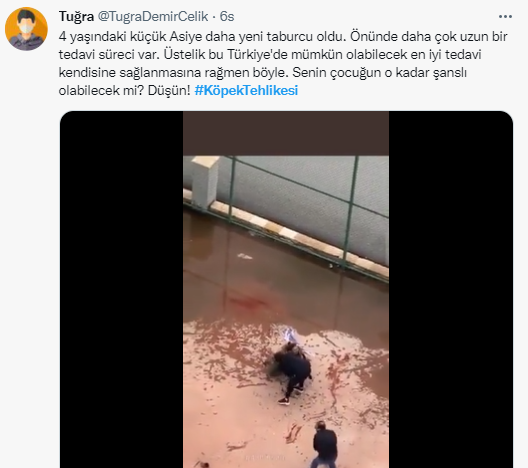 Foto - Daha kaç çocuğun ölmesi gerekiyor bu sorunun çözülmesi için! Köpek tehlikesi kaosa sürüklüyor!