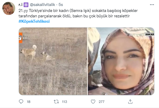 Foto - Daha kaç çocuğun ölmesi gerekiyor bu sorunun çözülmesi için! Köpek tehlikesi kaosa sürüklüyor!