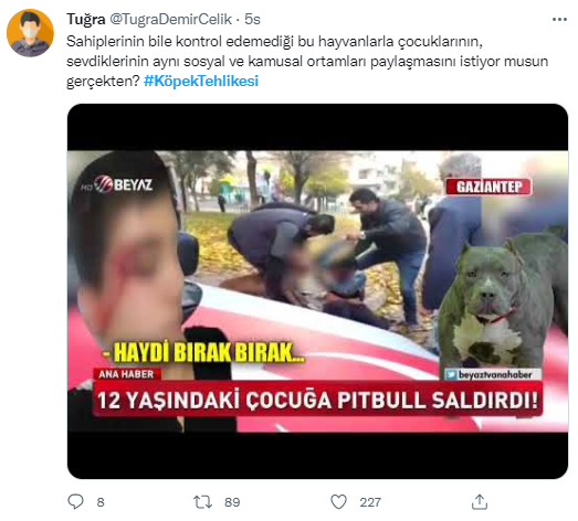 Foto - Daha kaç çocuğun ölmesi gerekiyor bu sorunun çözülmesi için! Köpek tehlikesi kaosa sürüklüyor!