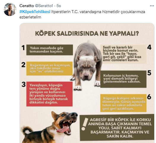 Foto - Daha kaç çocuğun ölmesi gerekiyor bu sorunun çözülmesi için! Köpek tehlikesi kaosa sürüklüyor!