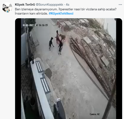 Foto - Daha kaç çocuğun ölmesi gerekiyor bu sorunun çözülmesi için! Köpek tehlikesi kaosa sürüklüyor!