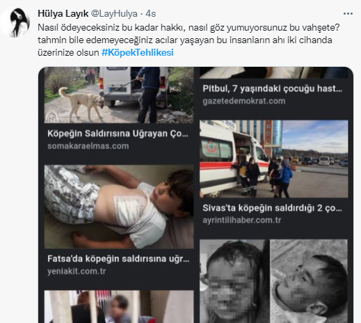 Foto - Daha kaç çocuğun ölmesi gerekiyor bu sorunun çözülmesi için! Köpek tehlikesi kaosa sürüklüyor!