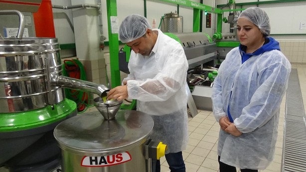 Foto - Daha kaliteli zeytinyağı için tüyoyu verdi!