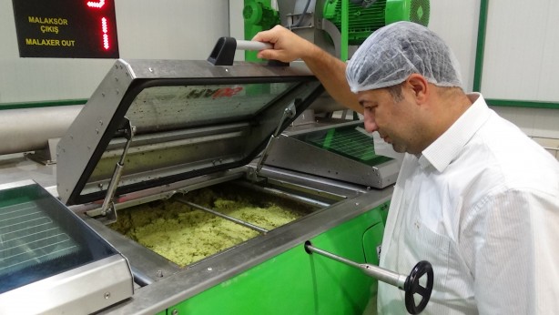 Foto - Daha kaliteli zeytinyağı için tüyoyu verdi!