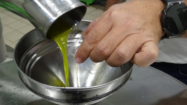 Foto - Daha kaliteli zeytinyağı için tüyoyu verdi!