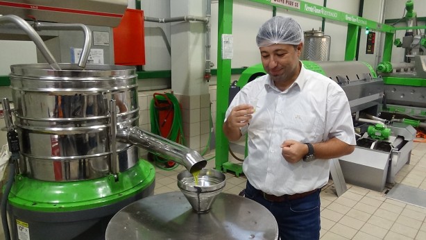 Foto - Daha kaliteli zeytinyağı için tüyoyu verdi!