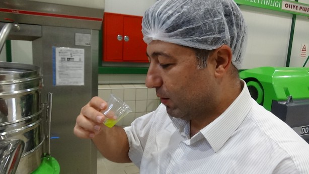 Foto - Daha kaliteli zeytinyağı için tüyoyu verdi!