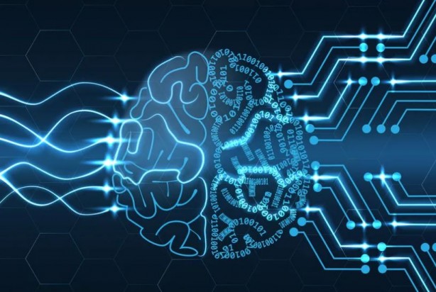 Foto - Daha neler göreceğiz! Beyinden cinsiyet tespiti