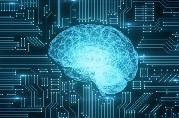 Foto - Daha neler göreceğiz! Beyinden cinsiyet tespiti