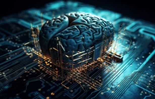 Foto - Daha neler göreceğiz! Beyinden cinsiyet tespiti