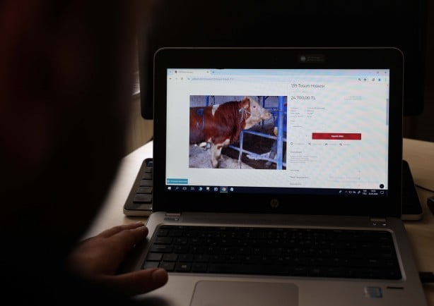 Foto - Daha neler göreceğiz neler! Kurbanlık satışında Türkiye'de bir ilk