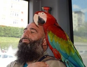 Foto - Daha neler göreceğiz neler! İşte toplu taşımada yaşanmış en ilginç olaylar