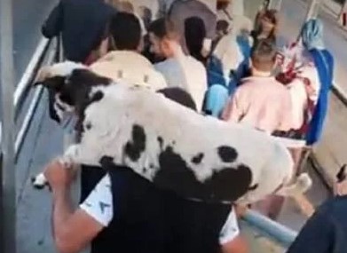 Foto - Daha neler göreceğiz neler! İşte toplu taşımada yaşanmış en ilginç olaylar