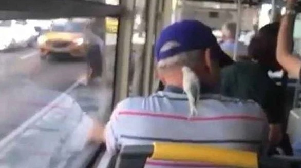 Foto - Daha neler göreceğiz neler! İşte toplu taşımada yaşanmış en ilginç olaylar