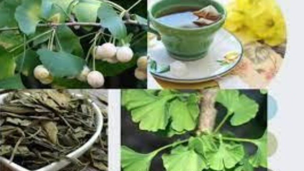 Foto - Daha nice faydaları var! Bu bitki hafızayı çelik gibi yapıyor