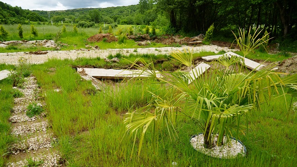 Foto - Daha önce böyle bir hırsızlık olayı duydunuz mu? Bakın bu hırsızlar neyi çalmış! 