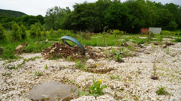 Daha önce böyle bir hırsızlık olayı duydunuz mu? Bakın bu hırsızlar neyi çalmış! 