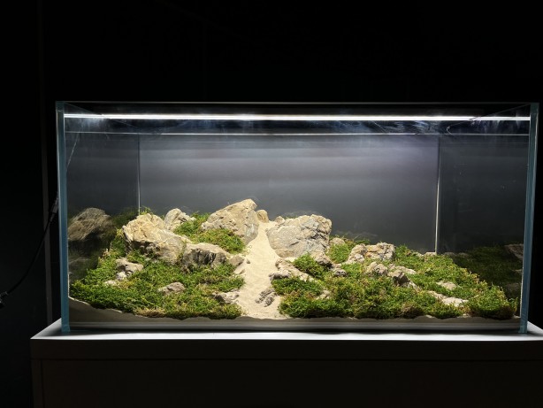 Foto - Daha önce böyle bir şey görülmedi! Yok böyle bir güzellik...