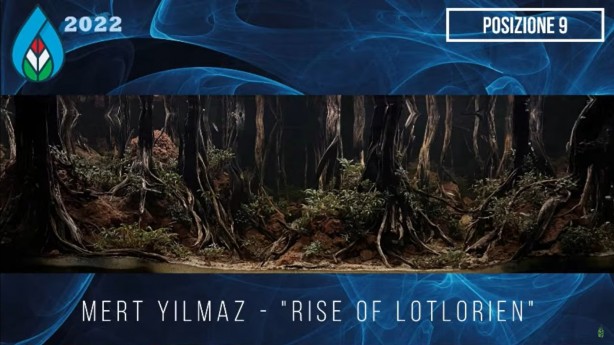 Daha önce böyle bir şey görülmedi! Yok böyle bir güzellik...