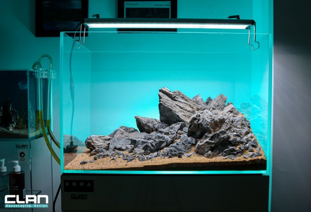 Foto - Daha önce böyle bir şey görülmedi! Yok böyle bir güzellik...