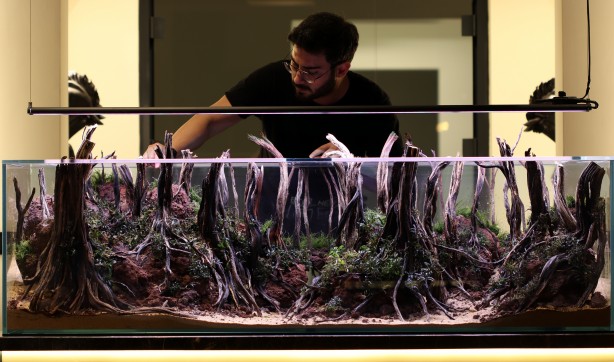 Foto - Daha önce böyle bir şey görülmedi! Yok böyle bir güzellik...