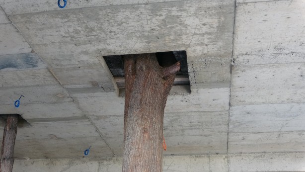 Foto - Daha önce böylesini gördünüz mü? Bu inşaat şaşkına döndürüyor