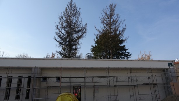 Foto - Daha önce böylesini gördünüz mü? Bu inşaat şaşkına döndürüyor