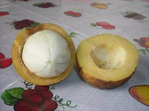 Foto - Daha önce böylesini görmediniz!