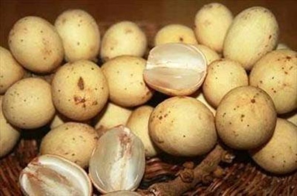 Foto - Daha önce böylesini görmediniz!