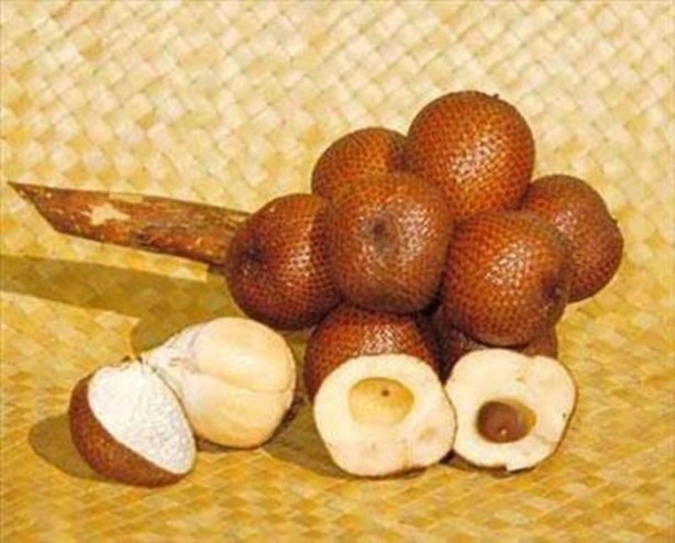 Foto - Daha önce böylesini görmediniz!