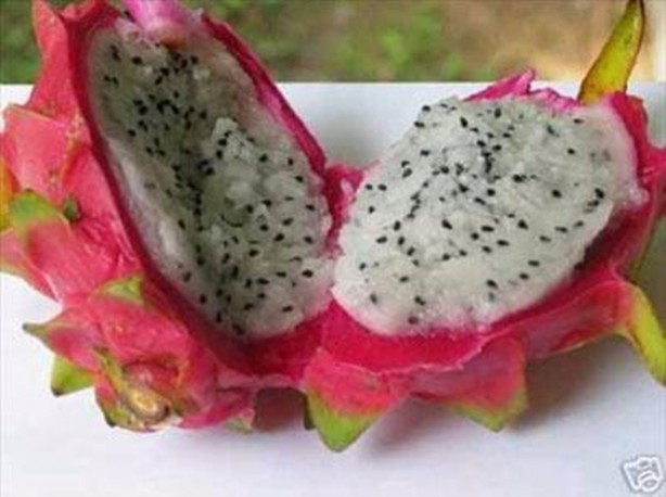 Foto - Daha önce böylesini görmediniz!