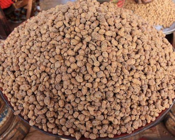 Foto - Daha önce böylesini görmediniz!