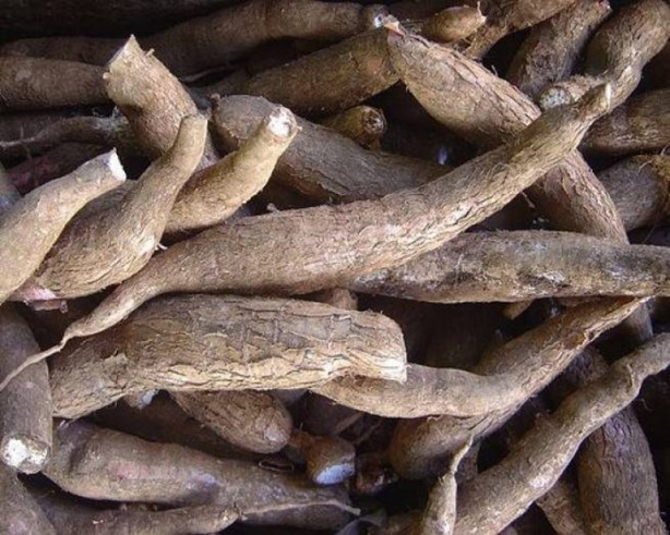 Foto - Daha önce böylesini görmediniz!