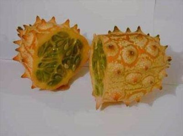 Foto - Daha önce böylesini görmediniz!