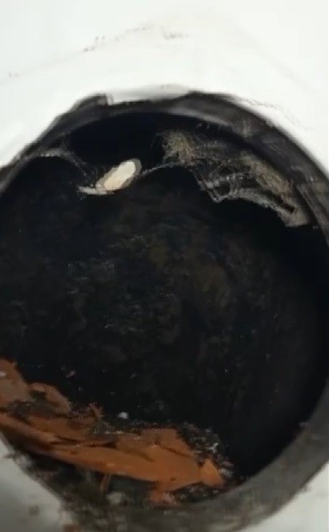 Foto - Daha önce böylesini ne duydunuz ne de gördünüz! kiracısına öyle bir şey yaptı ki…