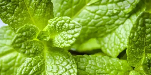 Foto - Daha önce bunu duymadınız! Parlak cildin tek sırrı onda müthiş yöntem: Bir kaşık eklerseniz! Cildiniz parlasın