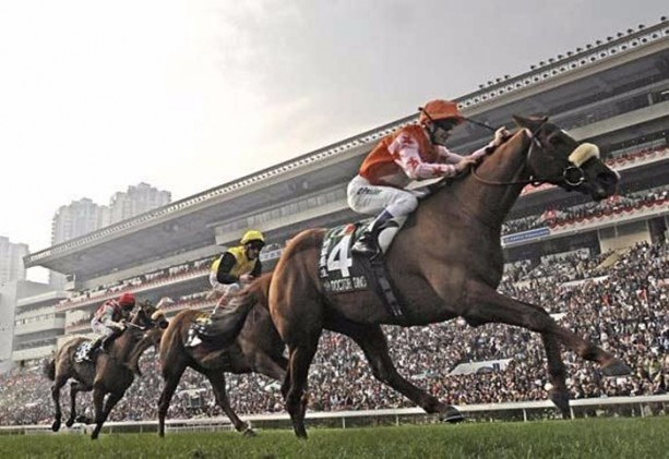 Foto - Daha önce down sendromlu kaplan gördünüz mü?