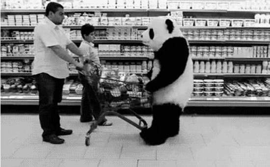 Foto - Daha önce duymadığınız ilginç bilgiler