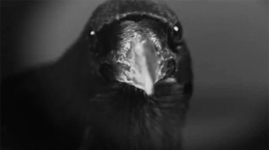 Foto - Daha önce duymadığınız ilginç bilgiler